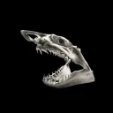 Legacy Shark Cartel NFTS