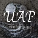 Union Anti Poulpe