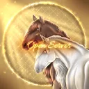 Starlight Dressage OS✨