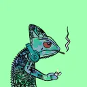 Cryptomeleon Club