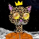BougieCatsBillionairesClub