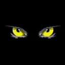 Panthers NFT