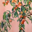 Lil Peach Tree