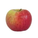 Apfel Scripts