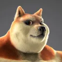 Buff Doge NFT