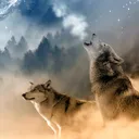 Phoenix Wolf Pack
