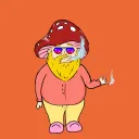 The Gnome Zone
