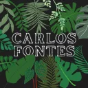 Carlos Fontes' server