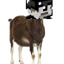 The Ziegenhain