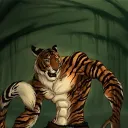 Jungle of Fur
