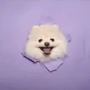 💞🦋