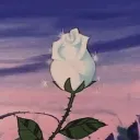 花園  〔 화원 〕