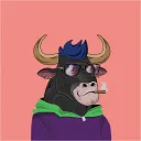 Crazy Bull Run