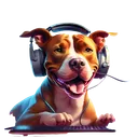 PITBOUILLE