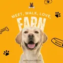 DogzApp & Beyond Side-Yard