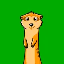 Merry Meerkats