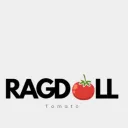 RAGDOLL TOMATO