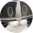 gibbs cat house