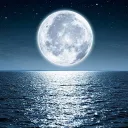 Moonlight 🌕✨'s icon