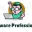 Software Professionals