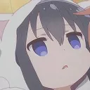 DREAM 交流鯖