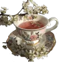 🌿 make new friends !🍄🐸's icon