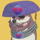 Doge Sol Club