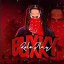 Blixky RP
