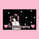 prinzesskaykay's server