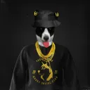 Husky Social Club