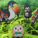 The Aviary