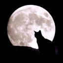 Eclipsed Discord server icon