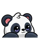 Blondii's Panda House