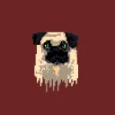 Crypto Pugg Dc