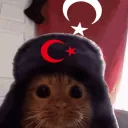 [TOO] [Türkçü Operasyon Orduları]