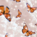 Sky Butterfly 🦋