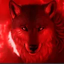WOLFVES OFFICIAL GROUP