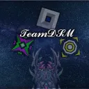 TeamDSM