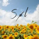 Søl