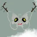 Koolerfly NFT Club