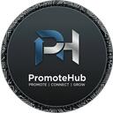 Promote Hub Discord Server Icon