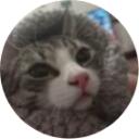 Shotty's hotel | cercasi staff Discord Server Icon