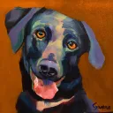 Galerie Dogs
