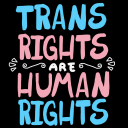 Transgender Rights Walkout Planning Server Icon