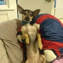 Cody’s Webb Page