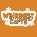 Weirdest Cats NFT