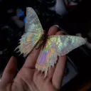ED 🦋