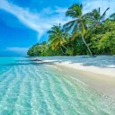 Islanders Discord Server Icon