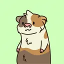 Piggy Pethouse