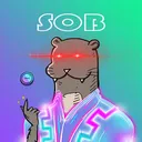 SolanaOtterBusiness